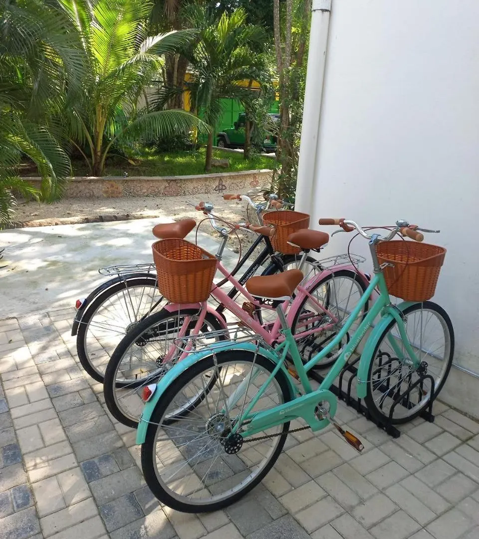 Urbaneden 'Another Day In Paradise' Playa del Carmen Meksyk
